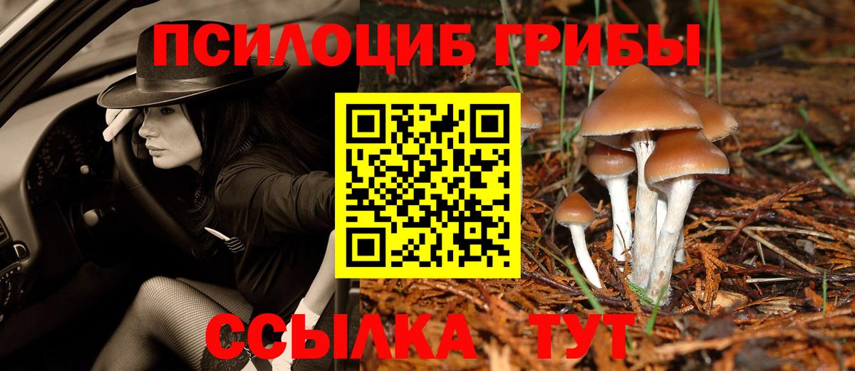 Борисоглебск  Псилоцибиновые грибы Psilocybe  Вход с VPN  Псилоцибиновые грибы Cubensis 