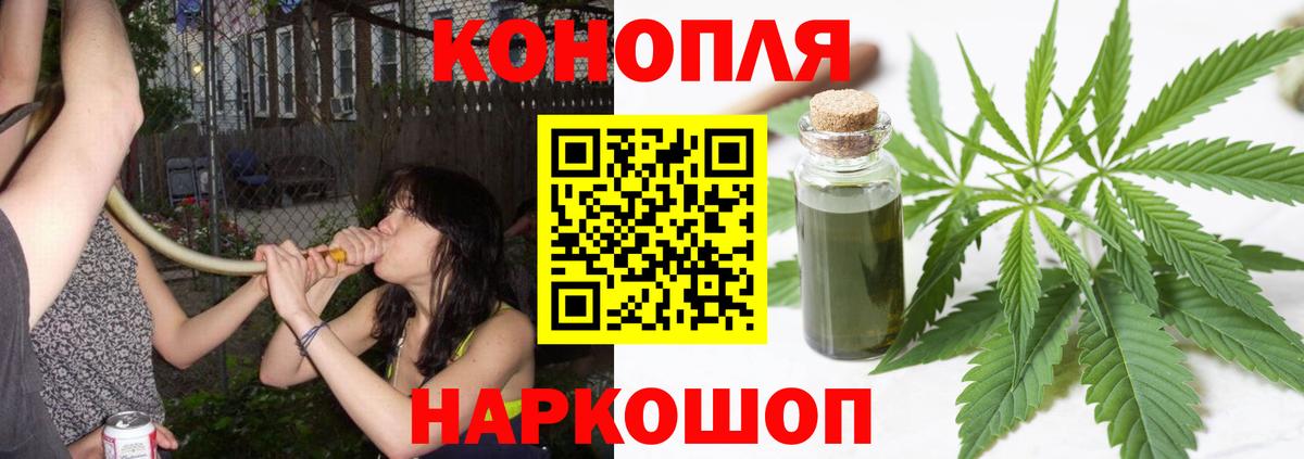 Каннабис планчик  Вход с VPN  Каннабис планчик  Борисоглебск 